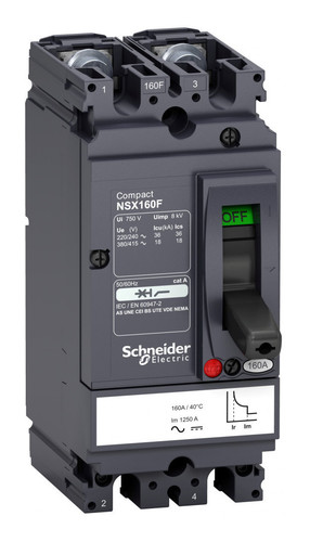 Силовой автомат Schneider Electric Compact NSX, 18кА, 2P, 125А